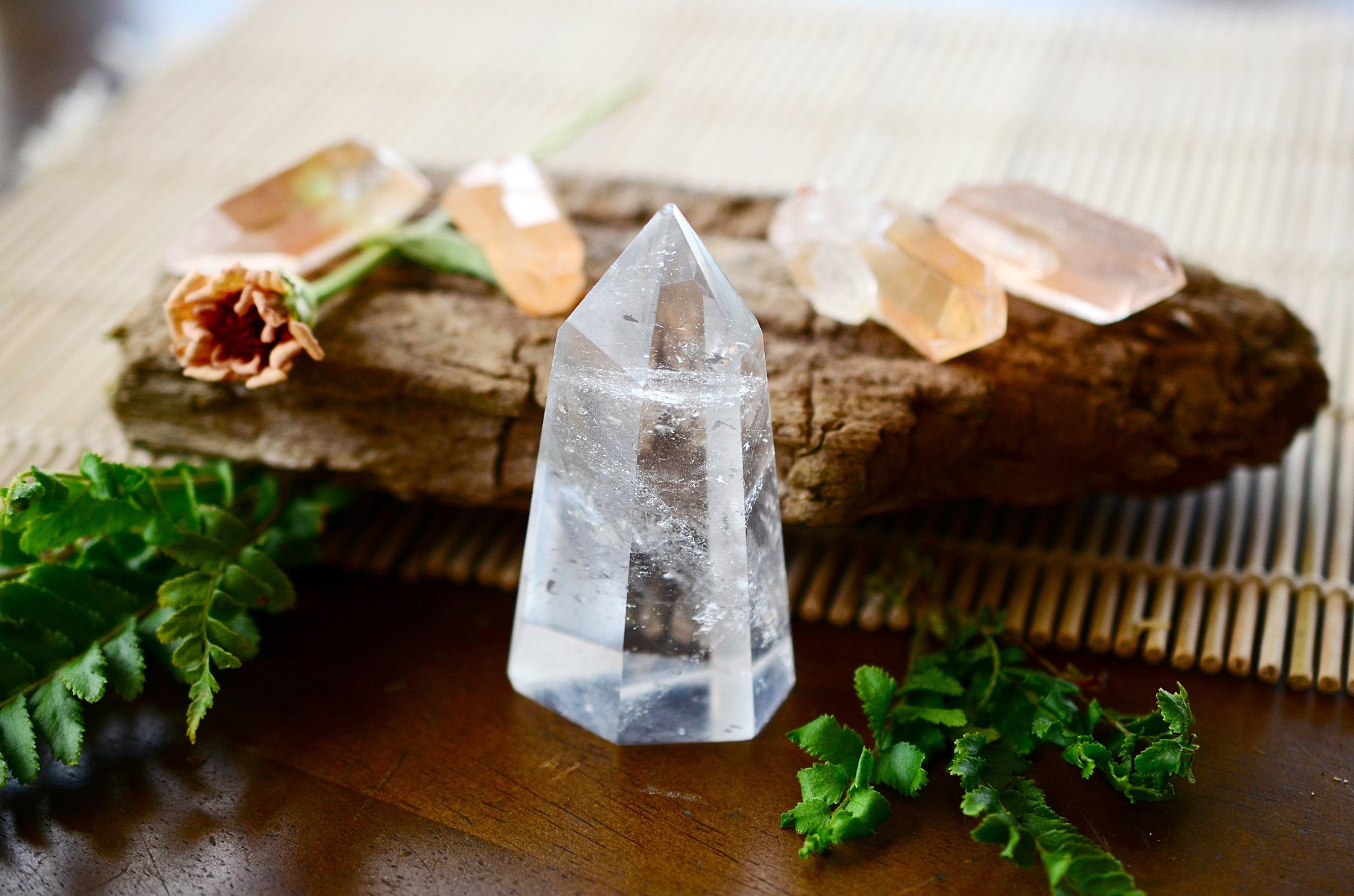 AdobeStock_268379825 AdobeStock_268379825