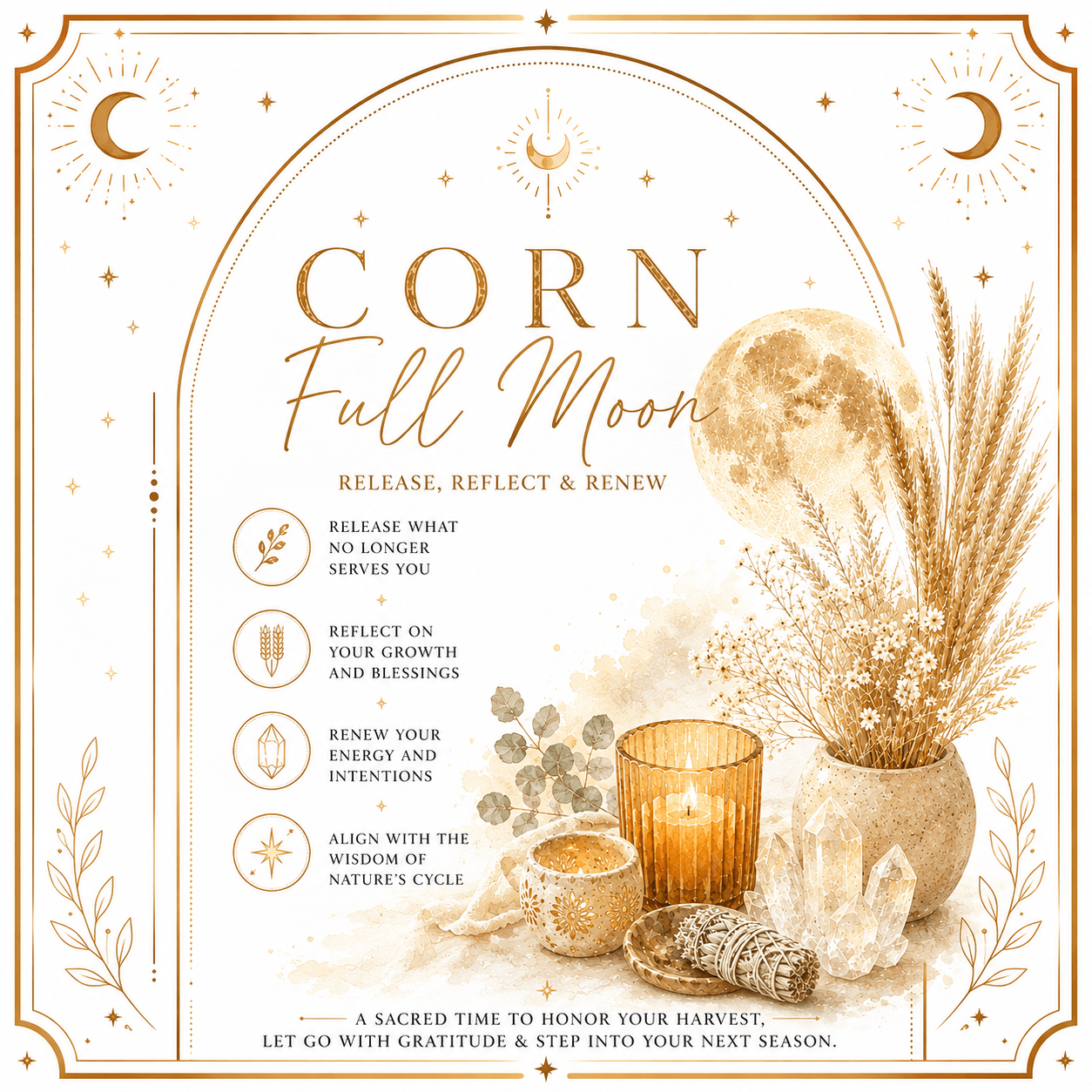 Corn Full Moon (1)